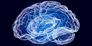 SpainNeurotech, la iniciativa del Gobierno para el ecosistema de innovacin en neurotecnologa